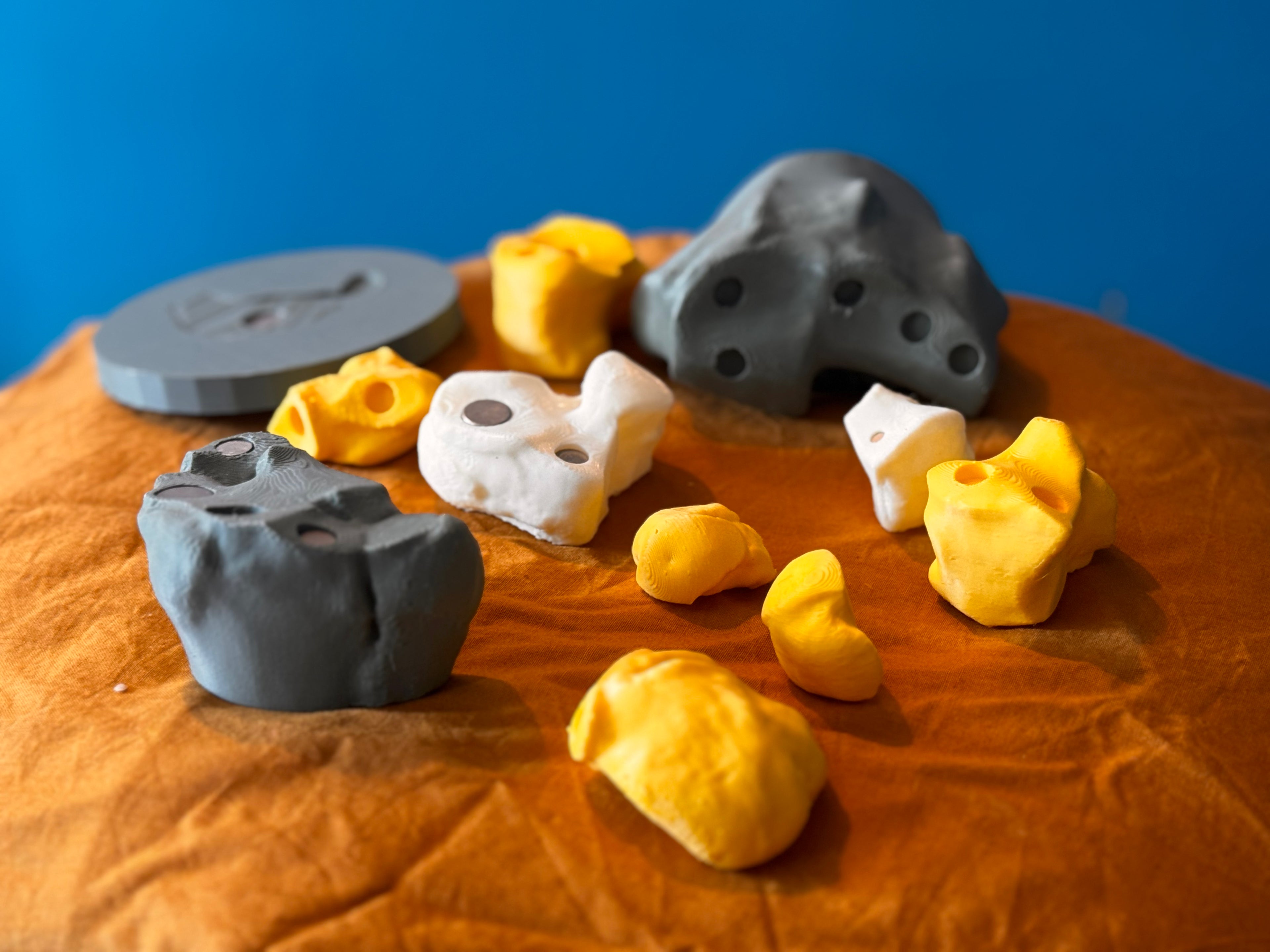 Carpe du cheval – Modèle anatomique, aimanté et interactif