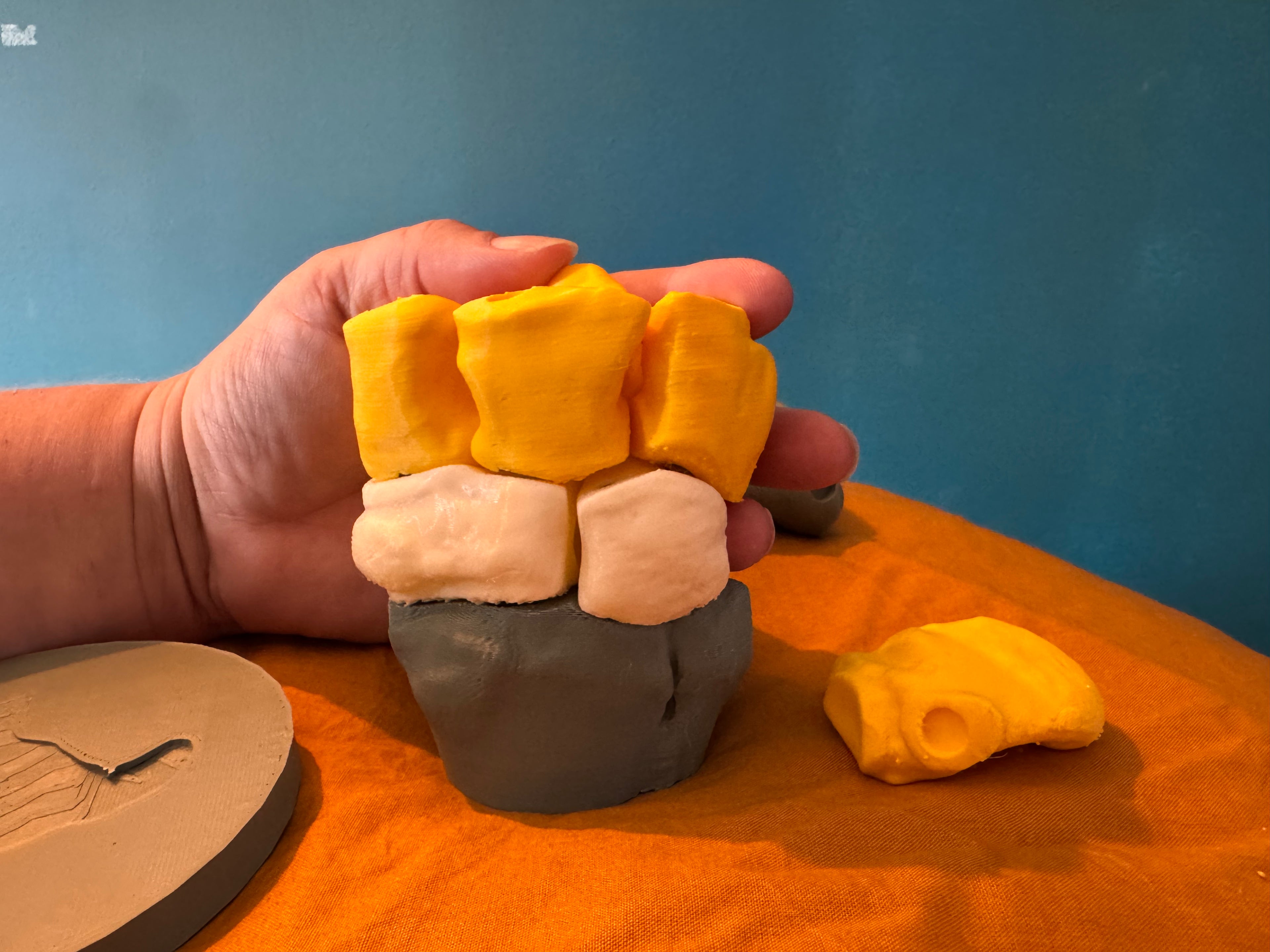 Carpe du cheval – Modèle anatomique, aimanté et interactif